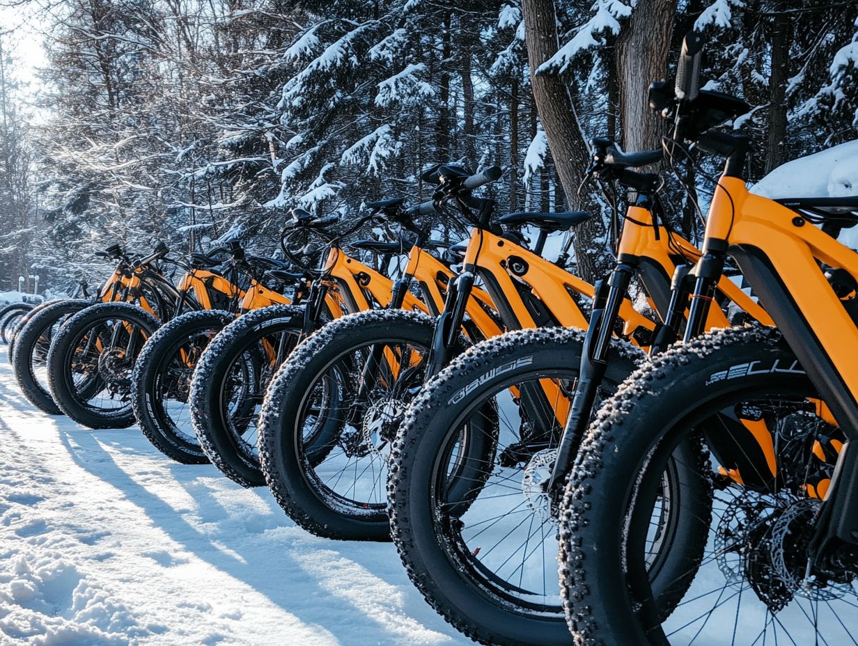 An infographic of the best electric bicycles for winter riding